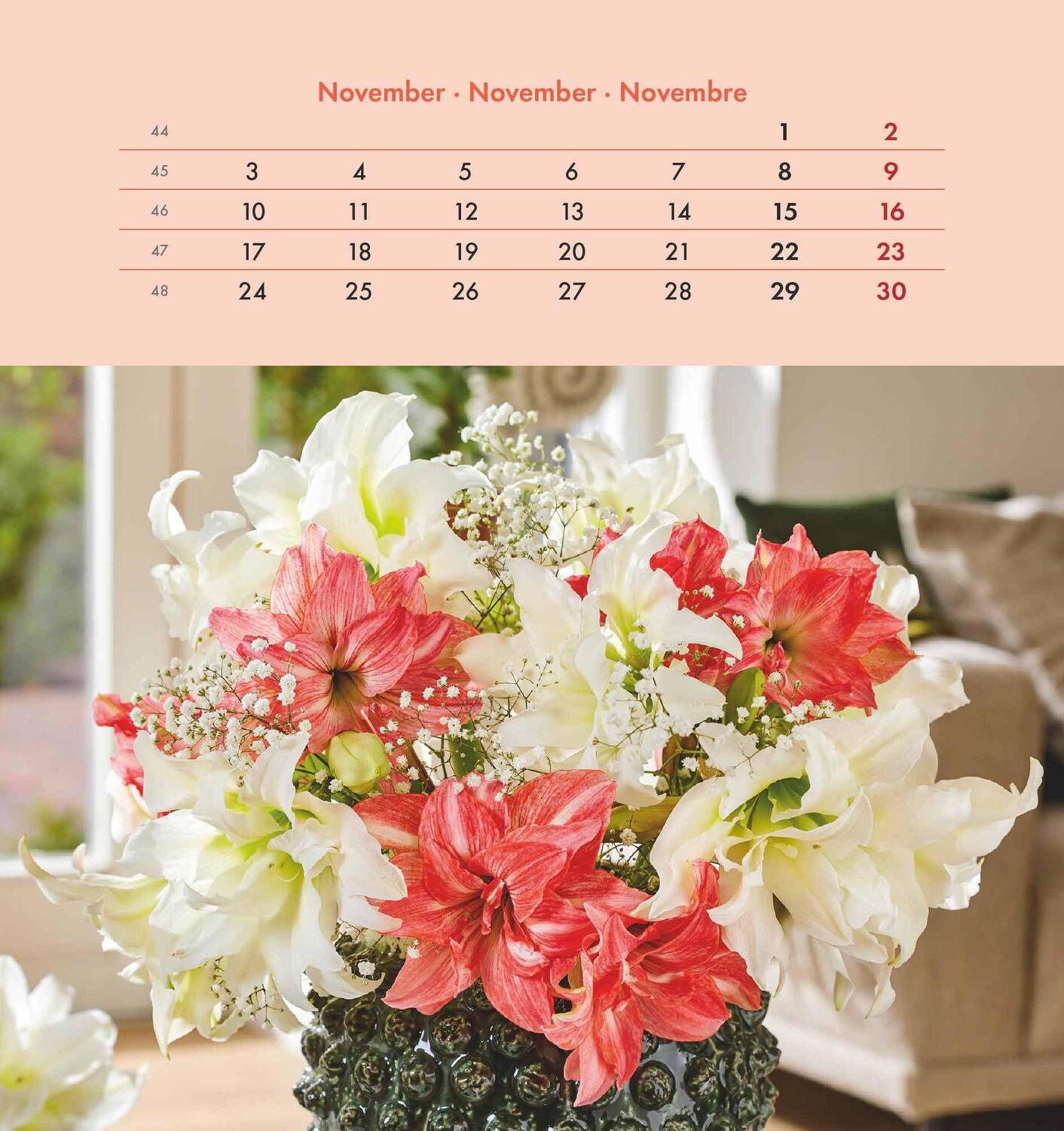 Bild: 4251732342289 | Blumengrüße 2025 - Postkartenkalender 16x17 cm - Blumen - zum...