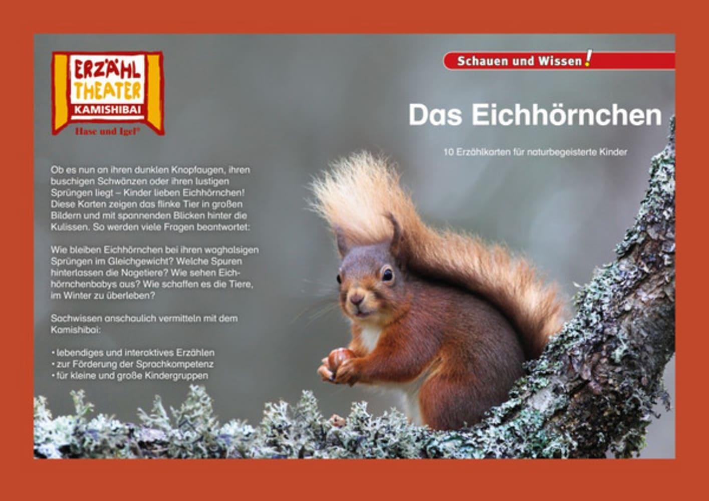 Cover: 4260505830458 | Kamishibai: Das Eichhörnchen | 10 Fotobildkarten für das Erzähltheater