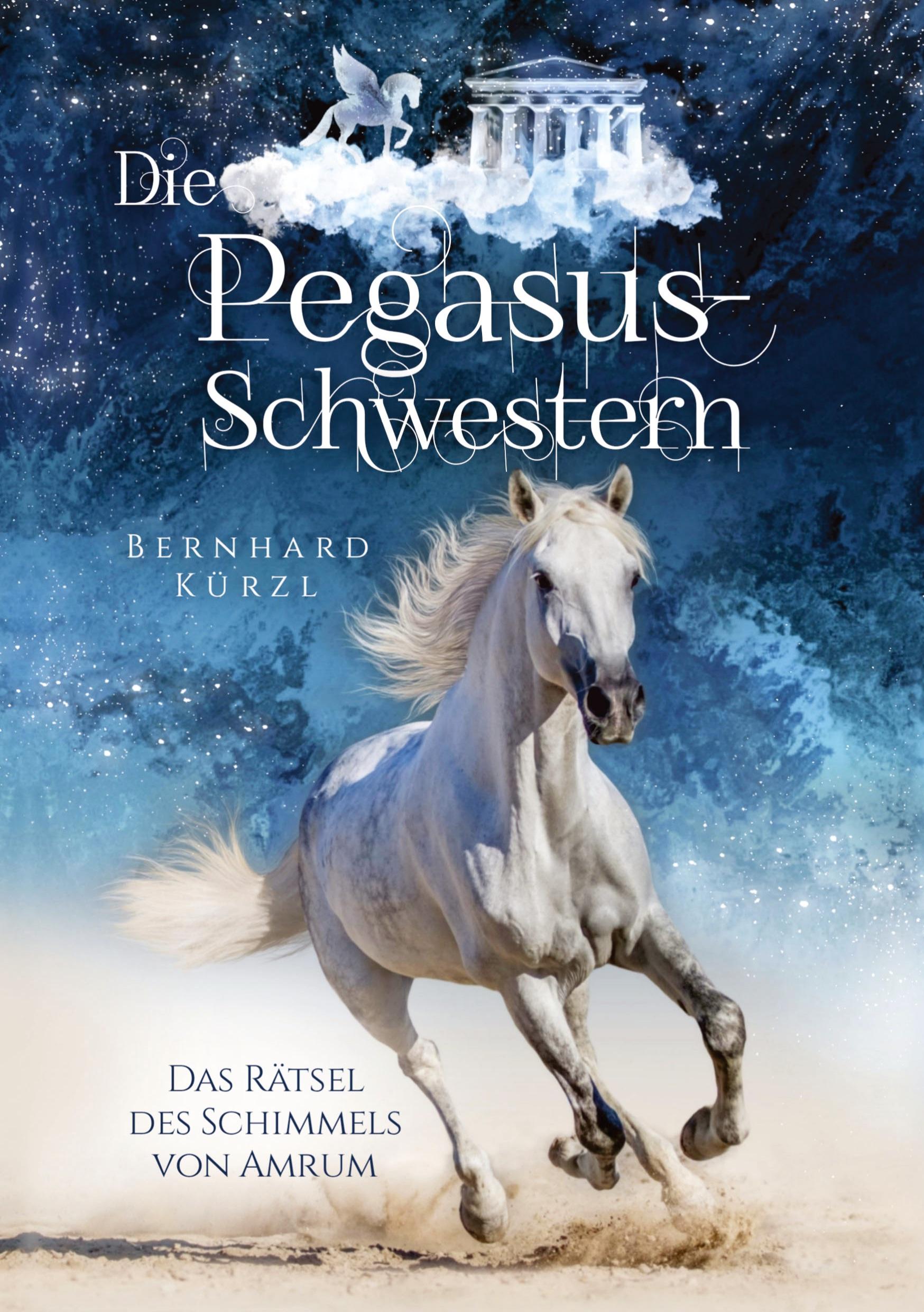 Cover: 9783347458895 | Die Pegasus-Schwestern (1) | Das Rätsel des Schimmels von Amrum | Buch