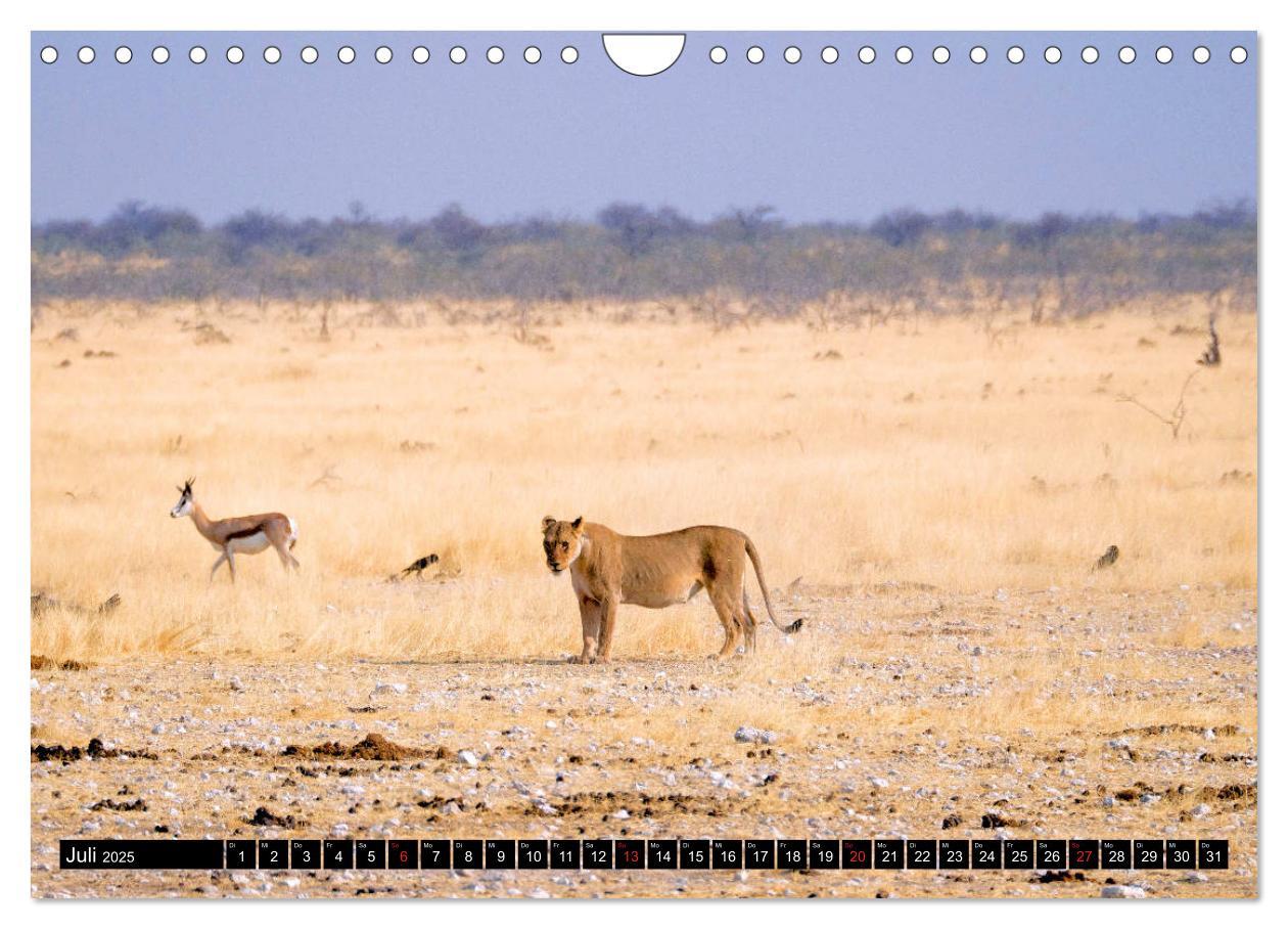 Bild: 9783435266104 | Südliches Afrika - Vom Kap bis zu den Victoria Fällen (Wandkalender...