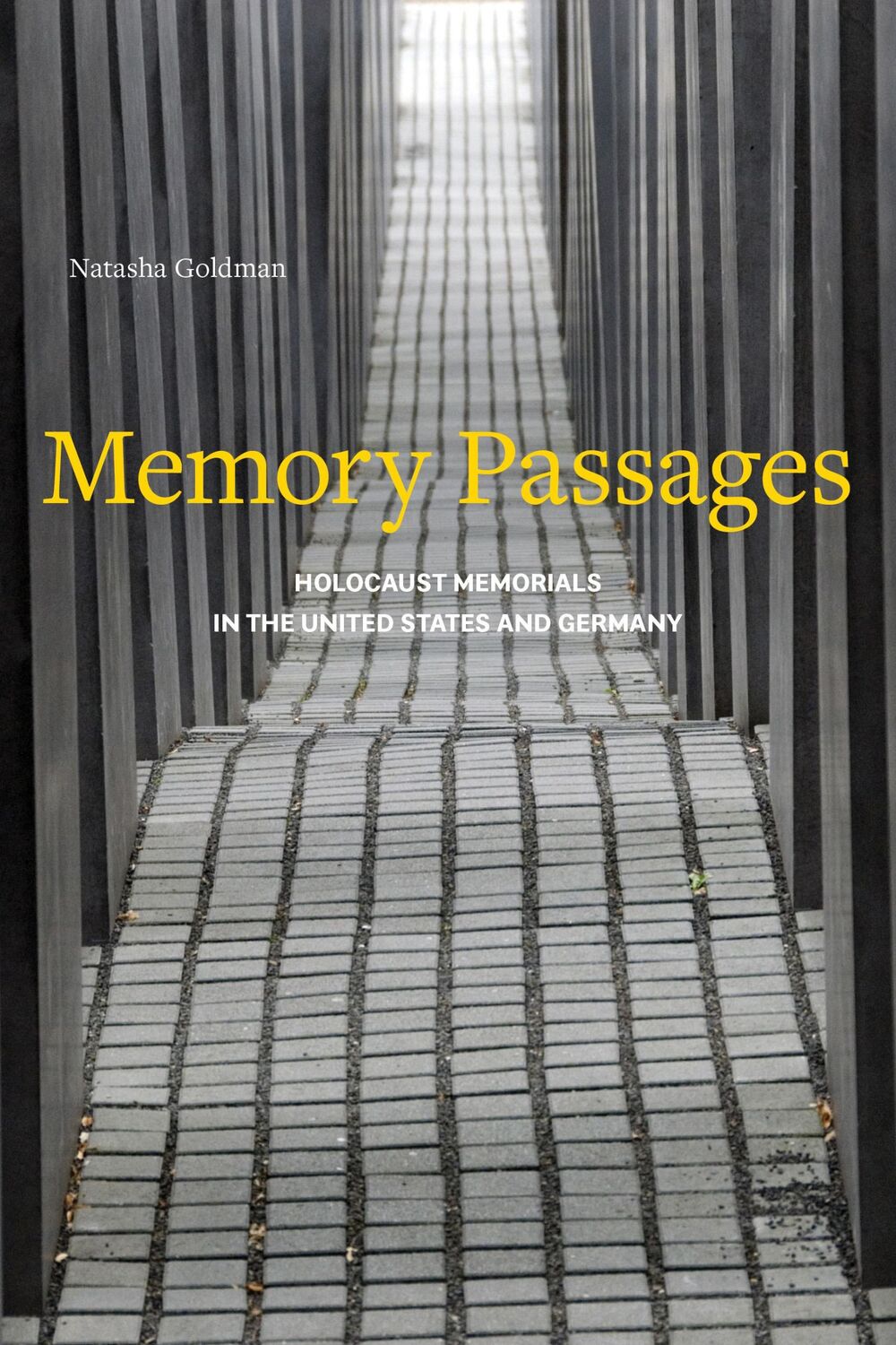 Cover: 9781439914243 | Memory Passages | Holocaust Memorials in the United States and Germany