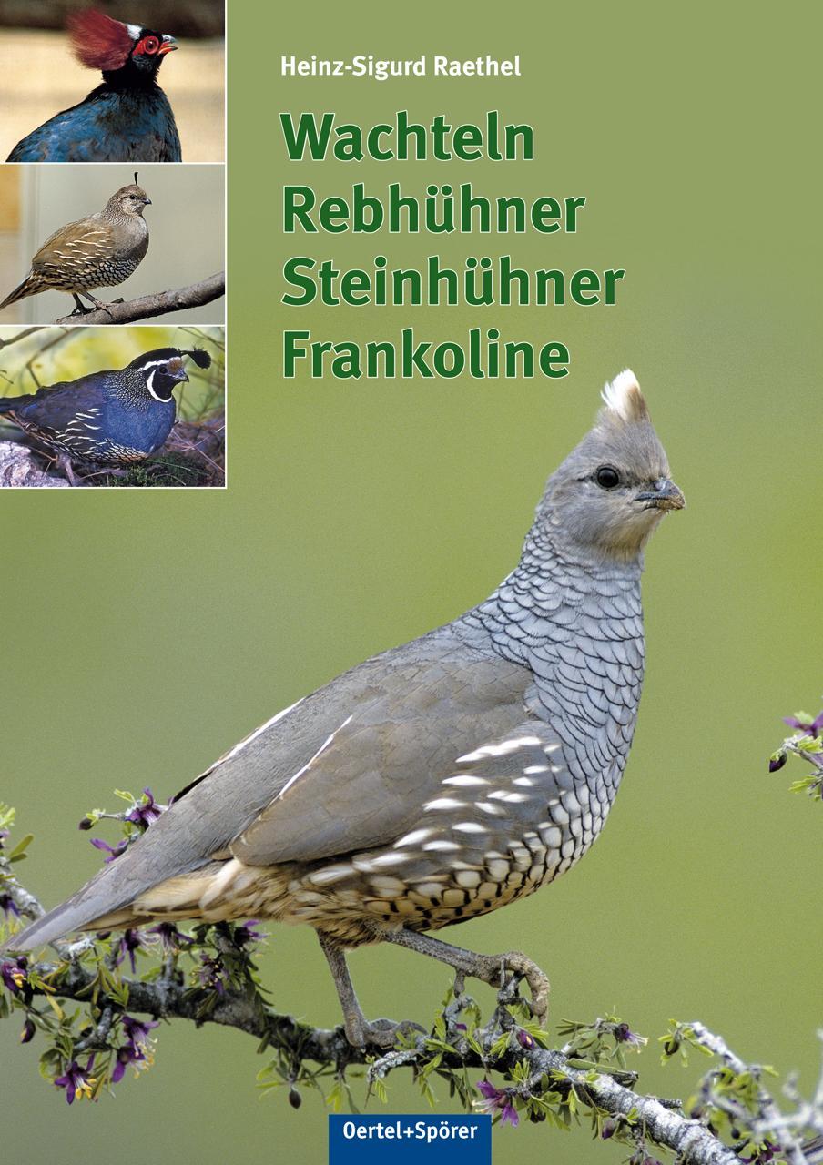 Cover: 9783886275571 | Wachteln, Rebhühner, Steinhühner, Frankoline | Heinz-Sigurd Raethel
