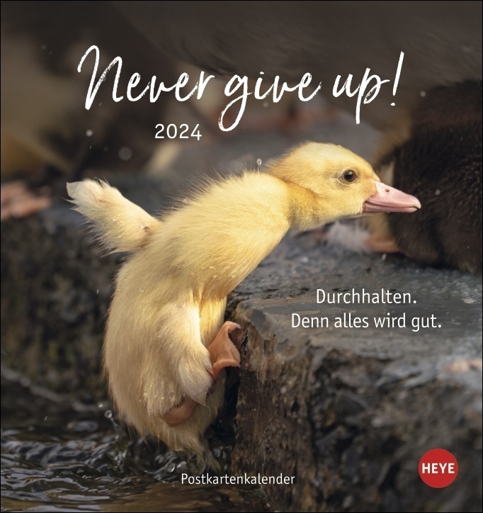 Cover: 9783756403332 | Never give up! Postkartenkalender 2024. Süße Tiere in einem...