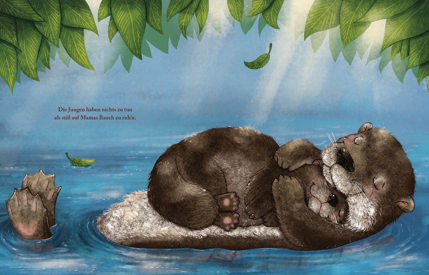 Bild: 9783570177785 | Die Koalas träumen hoch oben in den Bäumen | Sabine Ludwig | Buch