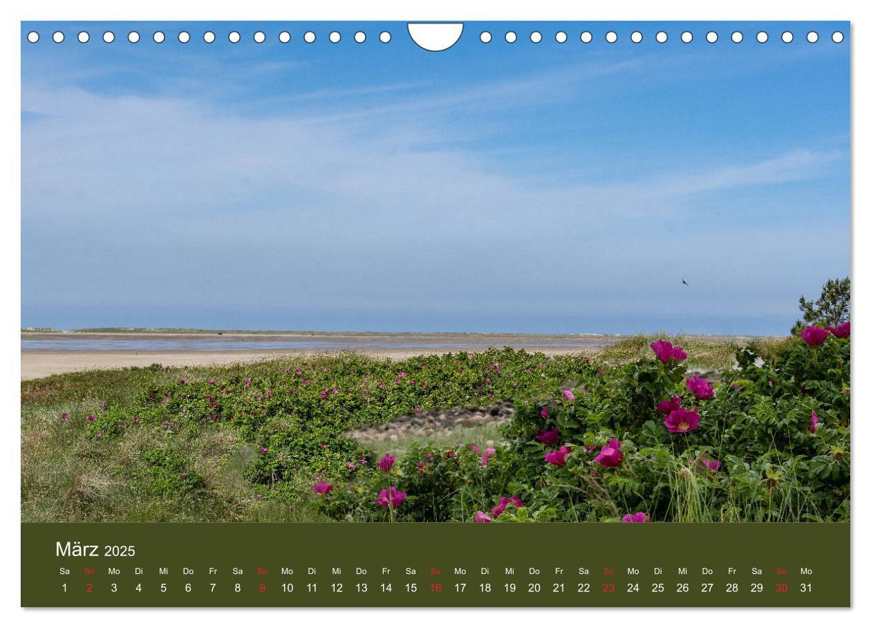 Bild: 9783435225736 | Römö - Wasser, Wind und endloser Strand (Wandkalender 2025 DIN A4...