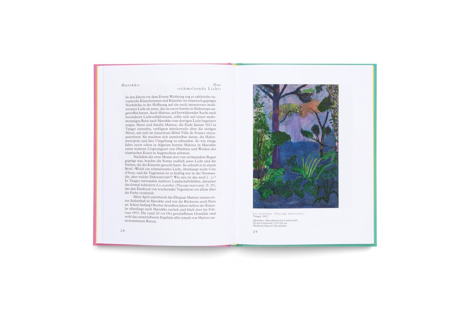 Bild: 9783775758437 | Matisse | Begleitband | Raphaël Bouvier | Buch | 56 S. | Deutsch