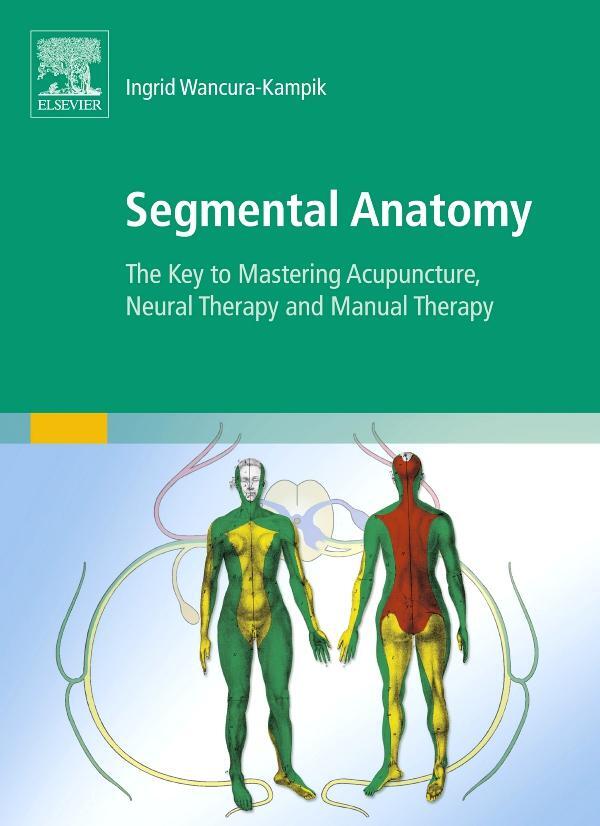 Cover: 9780702050428 | Segmental Anatomy | Ingrid Wancura-Kampik | Taschenbuch | Deutsch