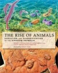 Cover: 9780801886799 | The Rise of Animals | Mikhail A. Fedonkin (u. a.) | Buch | Englisch