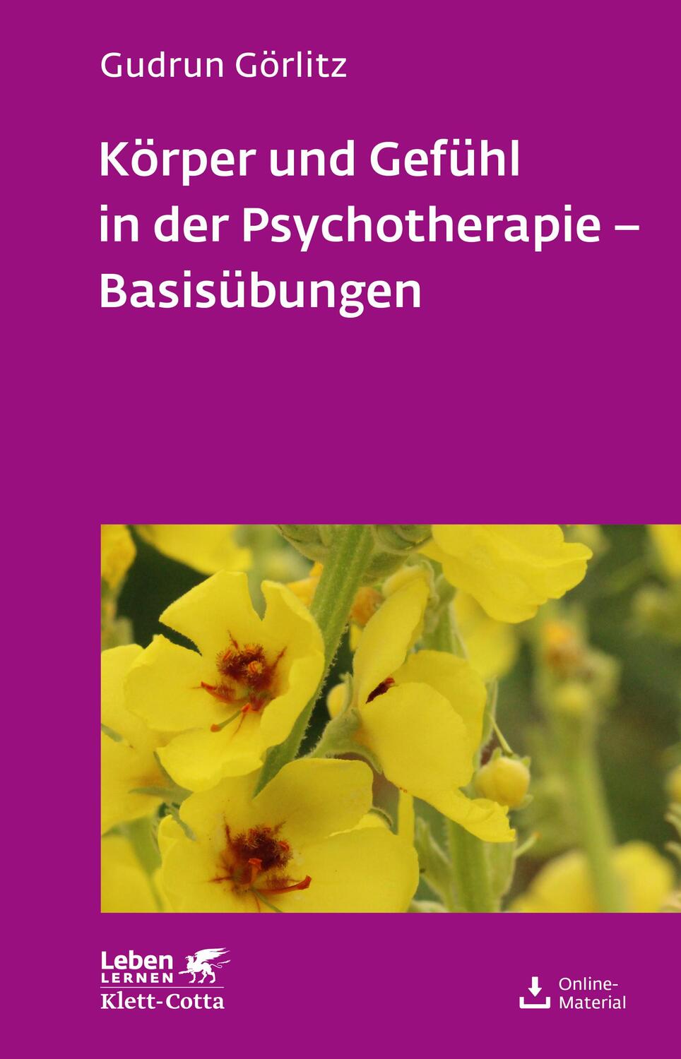 Cover: 9783608892291 | Körper und Gefühl in der Psychotherapie - Basisübungen (Leben...