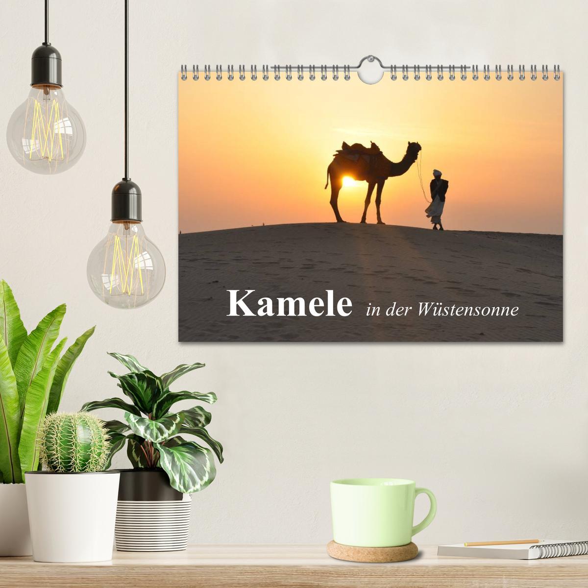 Bild: 9783435601035 | Kamele in der Wüstensonne (Wandkalender 2025 DIN A4 quer), CALVENDO...