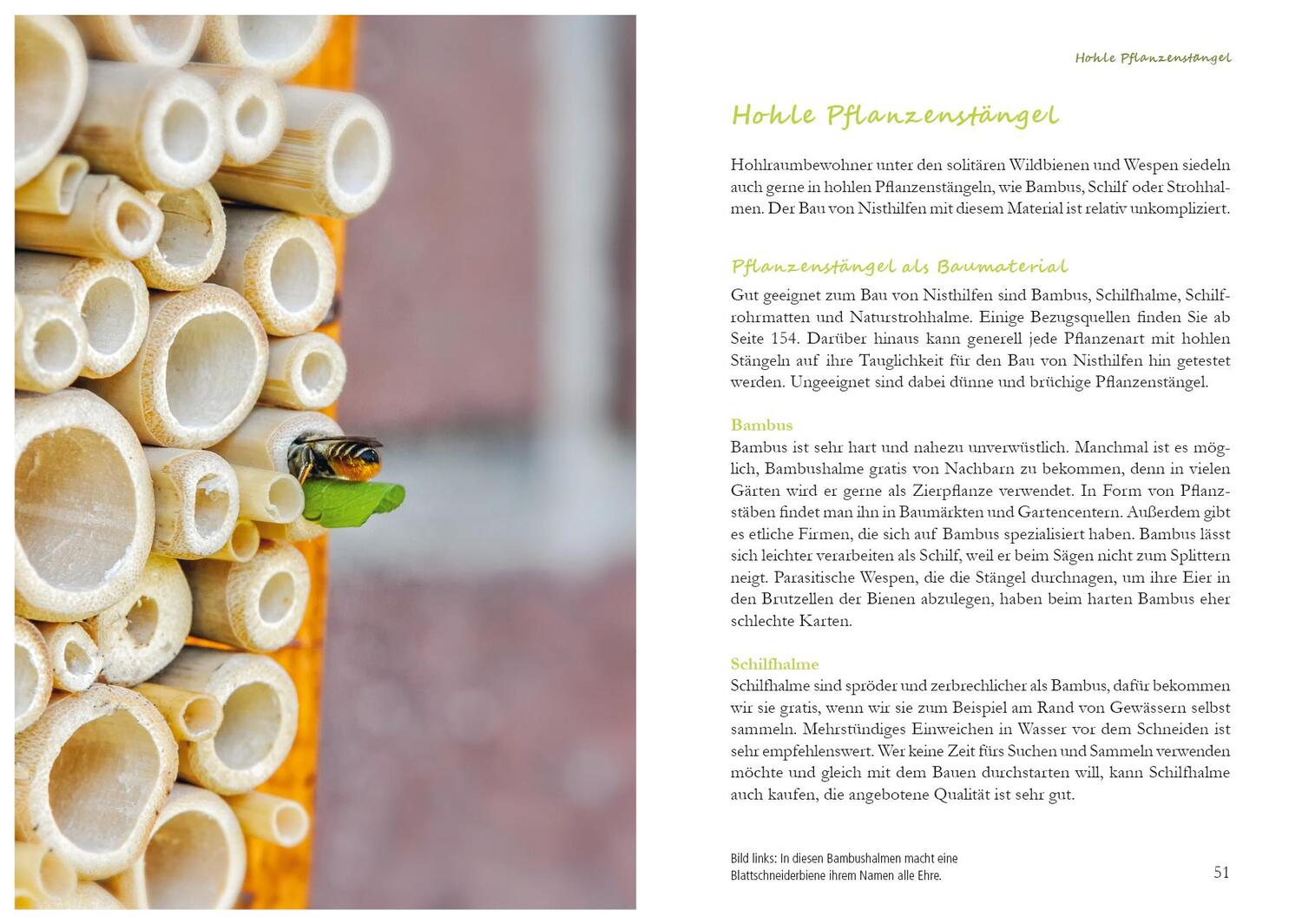 Bild: 9783895663581 | Fertig zum Einzug: Nisthilfen für Wildbienen | Werner David | Buch