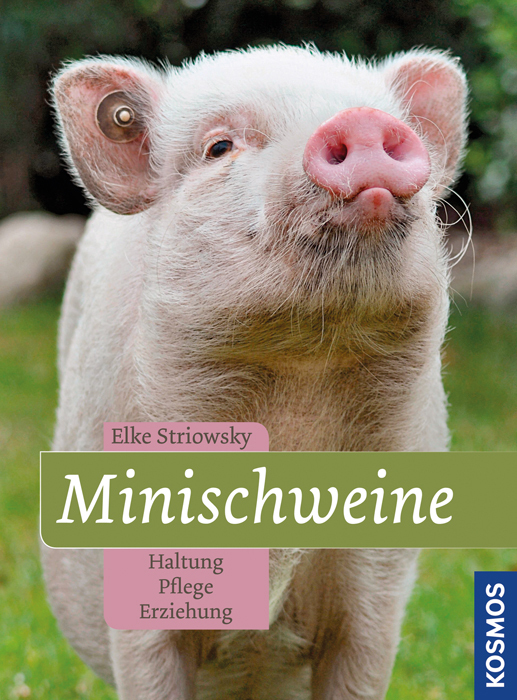 Cover: 9783440132371 | Minischweine | Haltung, Pflege, Erziehung | Elke Striowsky | Buch
