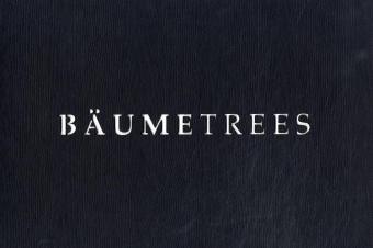 Cover: 9783898232425 | Bäume/Trees | Dt/engl | Helmut Hirler | Buch | 160 S. | Deutsch | 2005