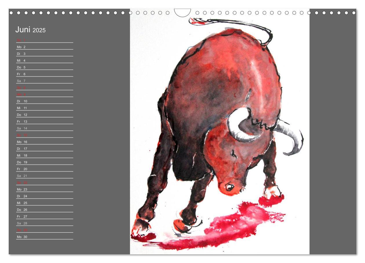 Bild: 9783435625406 | Sternbild Stier (Wandkalender 2025 DIN A3 quer), CALVENDO...