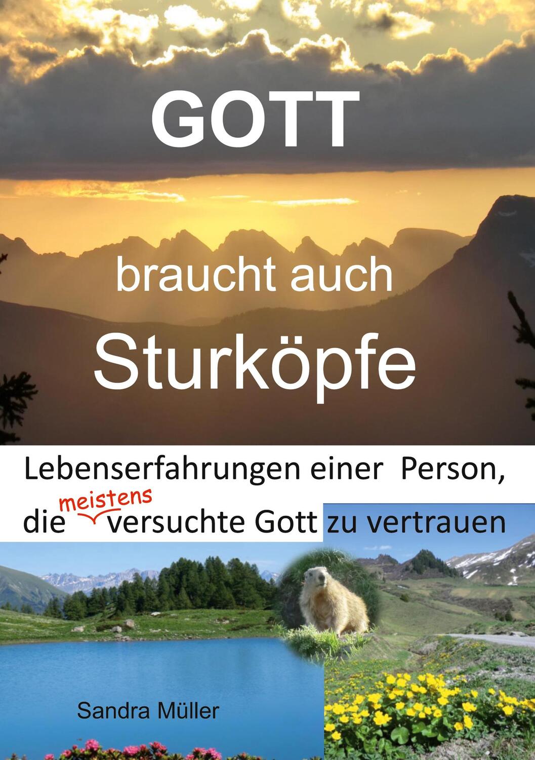 Cover: 9783749449392 | Gott braucht auch Sturköpfe | Sandra Müller | Taschenbuch | Paperback