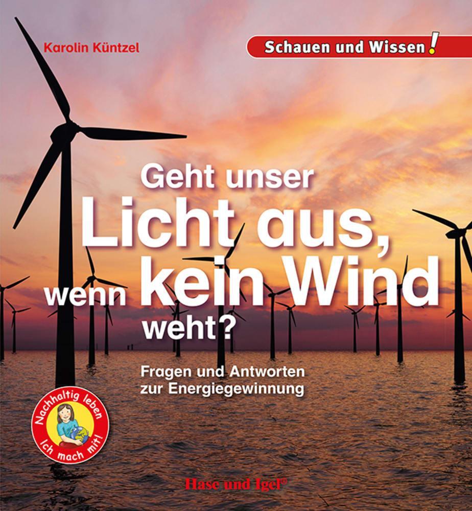 Cover: 9783863164102 | Geht unser Licht aus, wenn kein Wind weht? | Karolin Küntzel | Buch