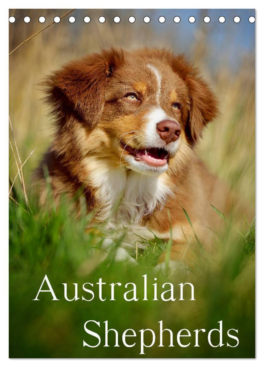 Cover: 9783675636743 | Australian Shepherds (Tischkalender 2024 DIN A5 hoch), CALVENDO...