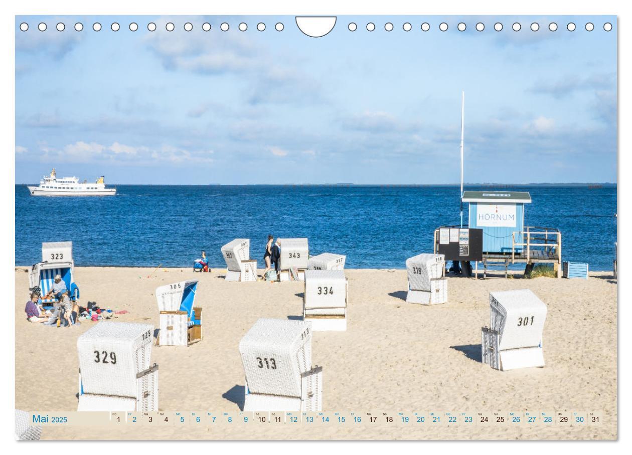 Bild: 9783457214091 | Sylt süchtig (Wandkalender 2025 DIN A4 quer), CALVENDO Monatskalender