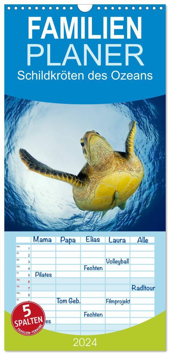 Cover: 9783383074332 | Familienplaner 2024 - Schildkröten des Ozeans mit 5 Spalten...