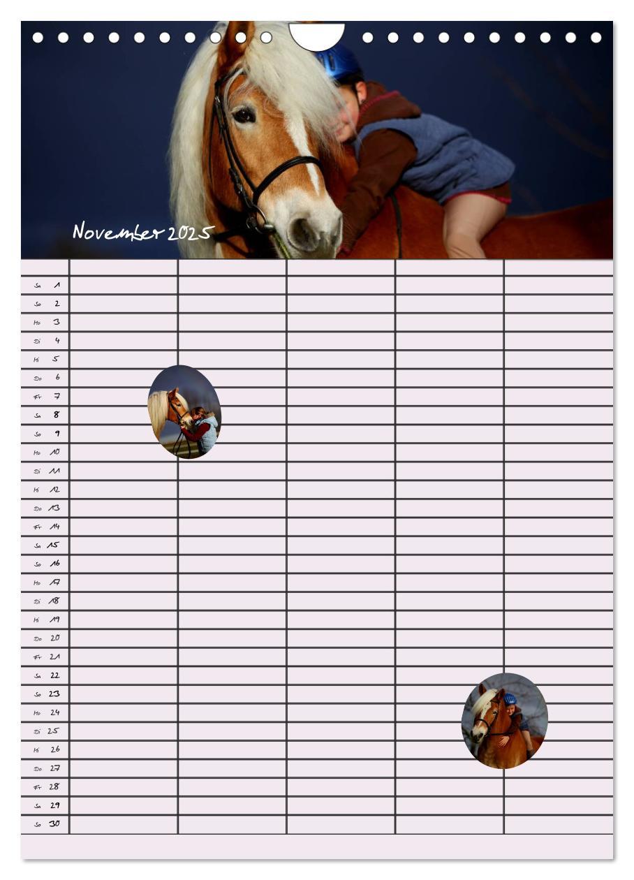 Bild: 9783457014851 | Haflinger Pferde - Stall- und Familienplaner 2025 (Wandkalender...