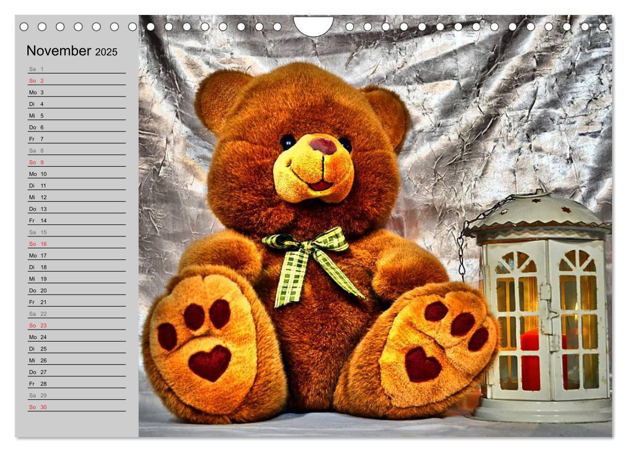 Bild: 9783435496068 | TEDDYBÄR, OH TEDDYBÄR... (Wandkalender 2025 DIN A4 quer), CALVENDO...