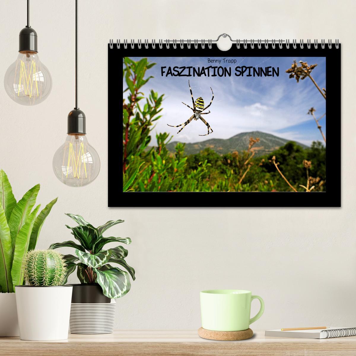 Bild: 9783435280629 | Faszination Spinnen (Wandkalender 2025 DIN A4 quer), CALVENDO...