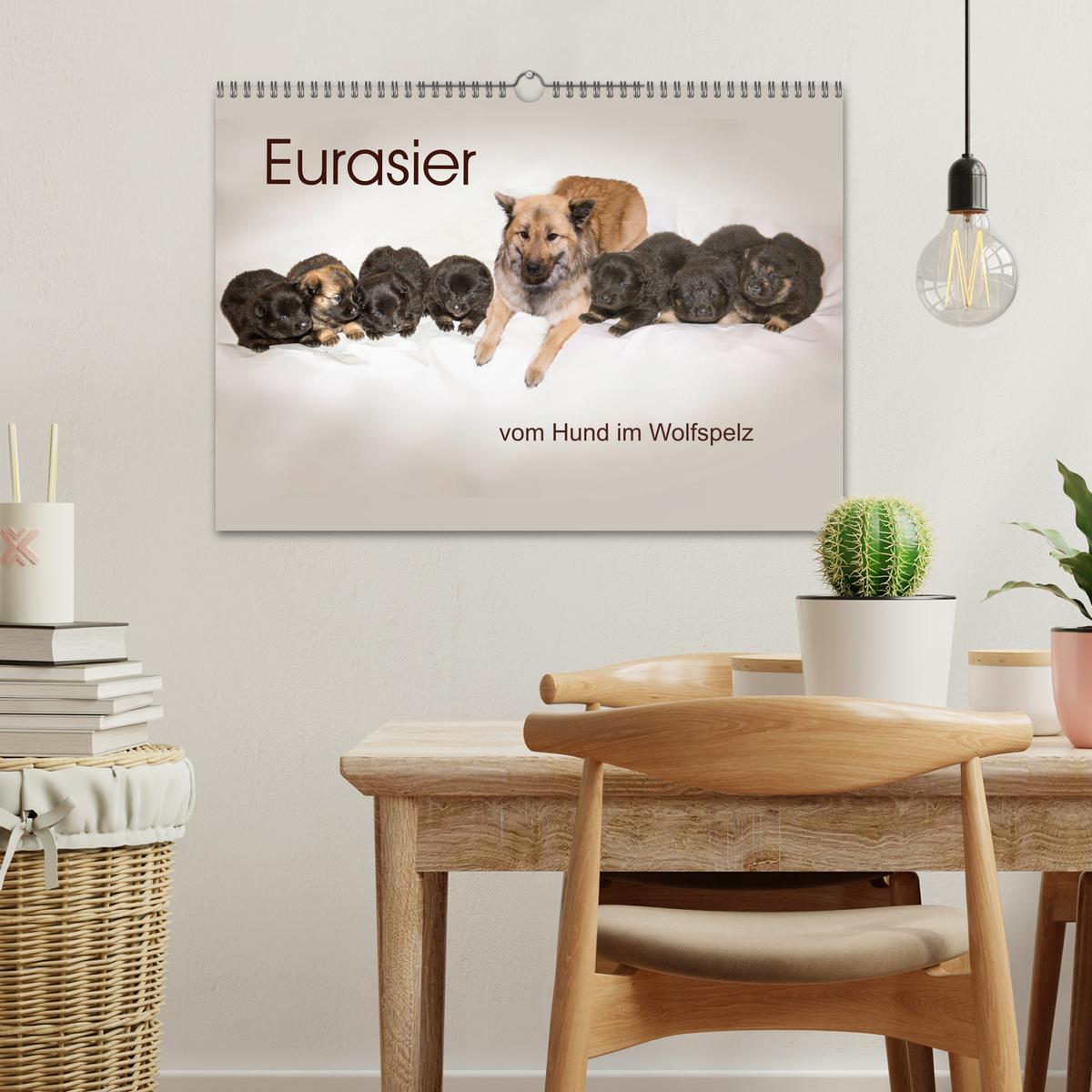 Bild: 9783435335367 | Eurasier, der Hund im Wolfspelz (Wandkalender 2025 DIN A3 quer),...