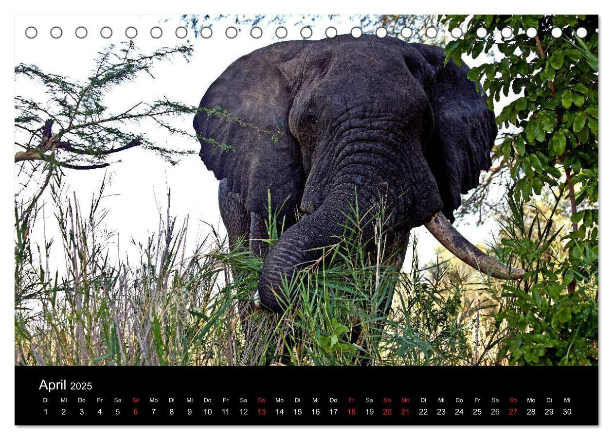 Bild: 9783435654864 | Malawi (Tischkalender 2025 DIN A5 quer), CALVENDO Monatskalender