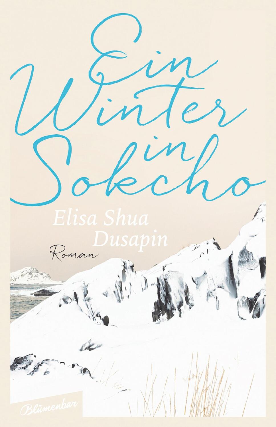 Cover: 9783351050511 | Ein Winter in Sokcho | Roman | Elisa Shua Dusapin | Buch | Deutsch