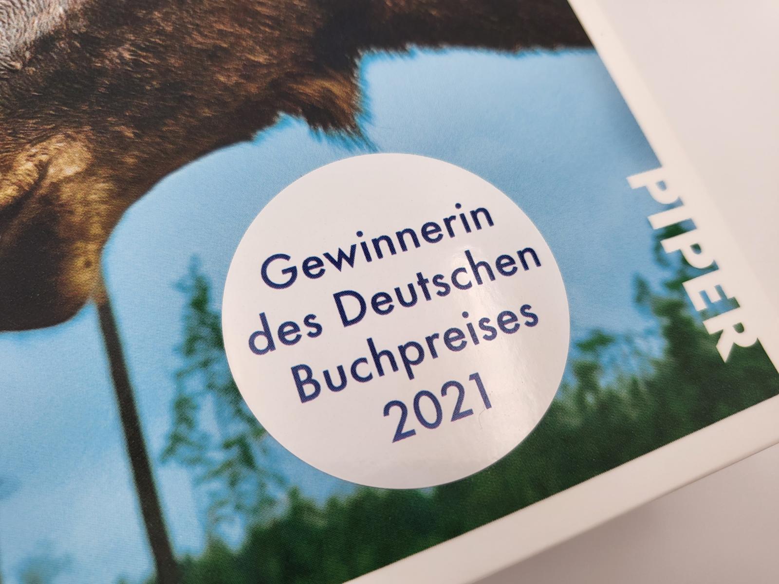 Bild: 9783492277617 | Gebrauchsanweisung für Schweden | Antje Rávik Strubel | Taschenbuch