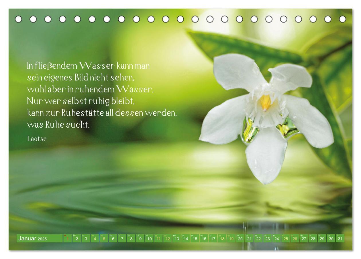 Bild: 9783383886010 | Natur-Meditationen - Nimm Dir Zeit (Tischkalender 2025 DIN A5...