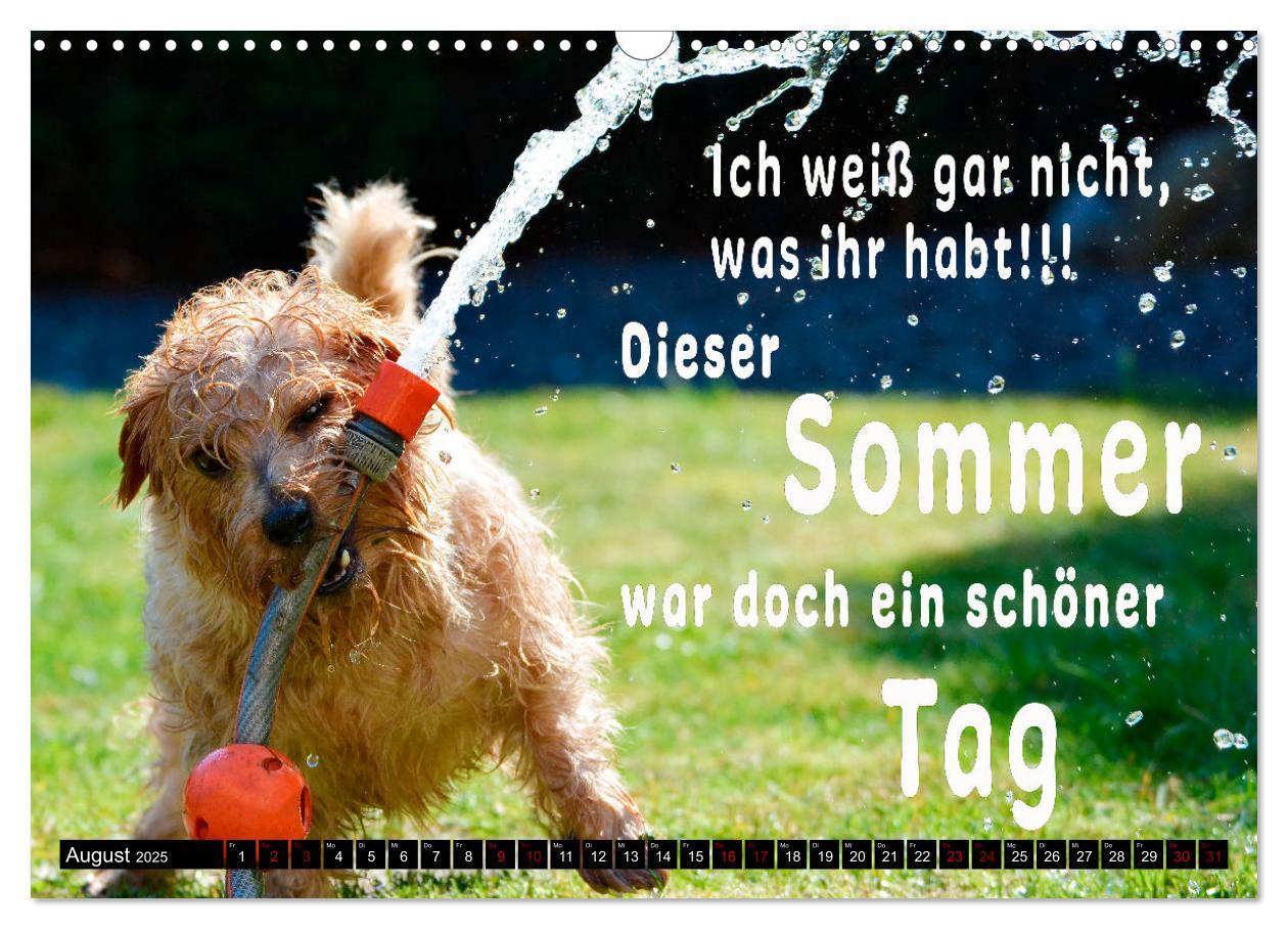 Bild: 9783435088393 | Spruchreif - Gute-Laune-Kalender (Wandkalender 2025 DIN A3 quer),...