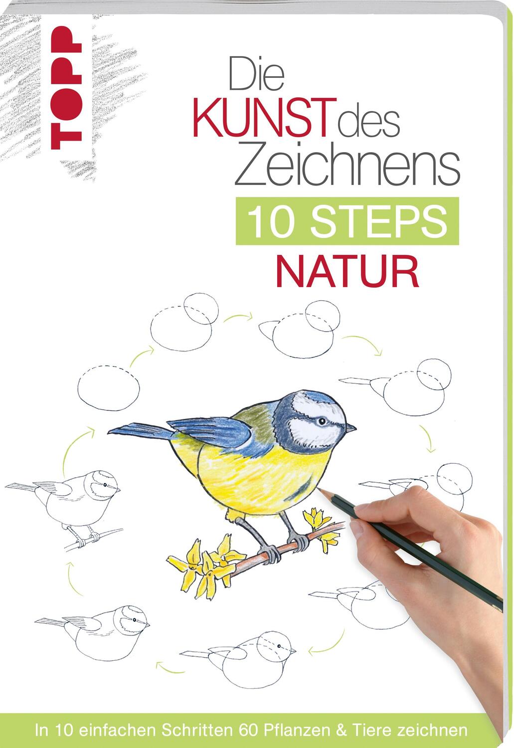 Cover: 9783772483929 | Die Kunst des Zeichnens 10 Steps - Natur | Mary Woodin | Taschenbuch