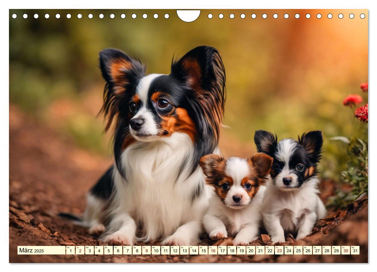 Bild: 9783457124581 | Papillon - bringt jedes Herz zum Schmelzen (Wandkalender 2025 DIN...