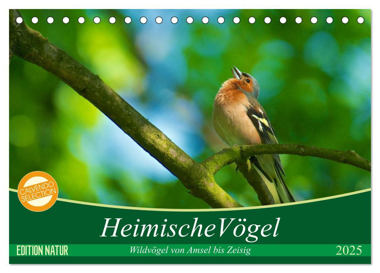 Cover: 9783435778324 | Heimische Vögel (Tischkalender 2025 DIN A5 quer), CALVENDO...