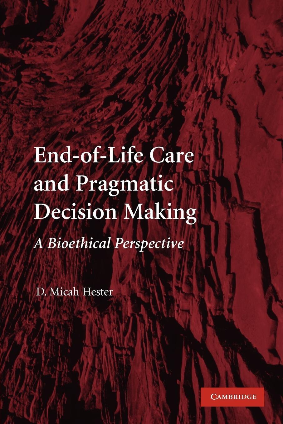 Cover: 9780521130738 | End-Of-Life Care and Pragmatic Decision Making | D. Micah Hester