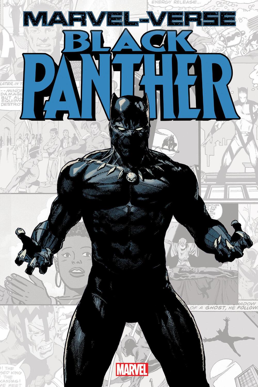 Cover: 9781302923600 | Marvel-Verse: Black Panther | Jeff Parker (u. a.) | Taschenbuch | 2020