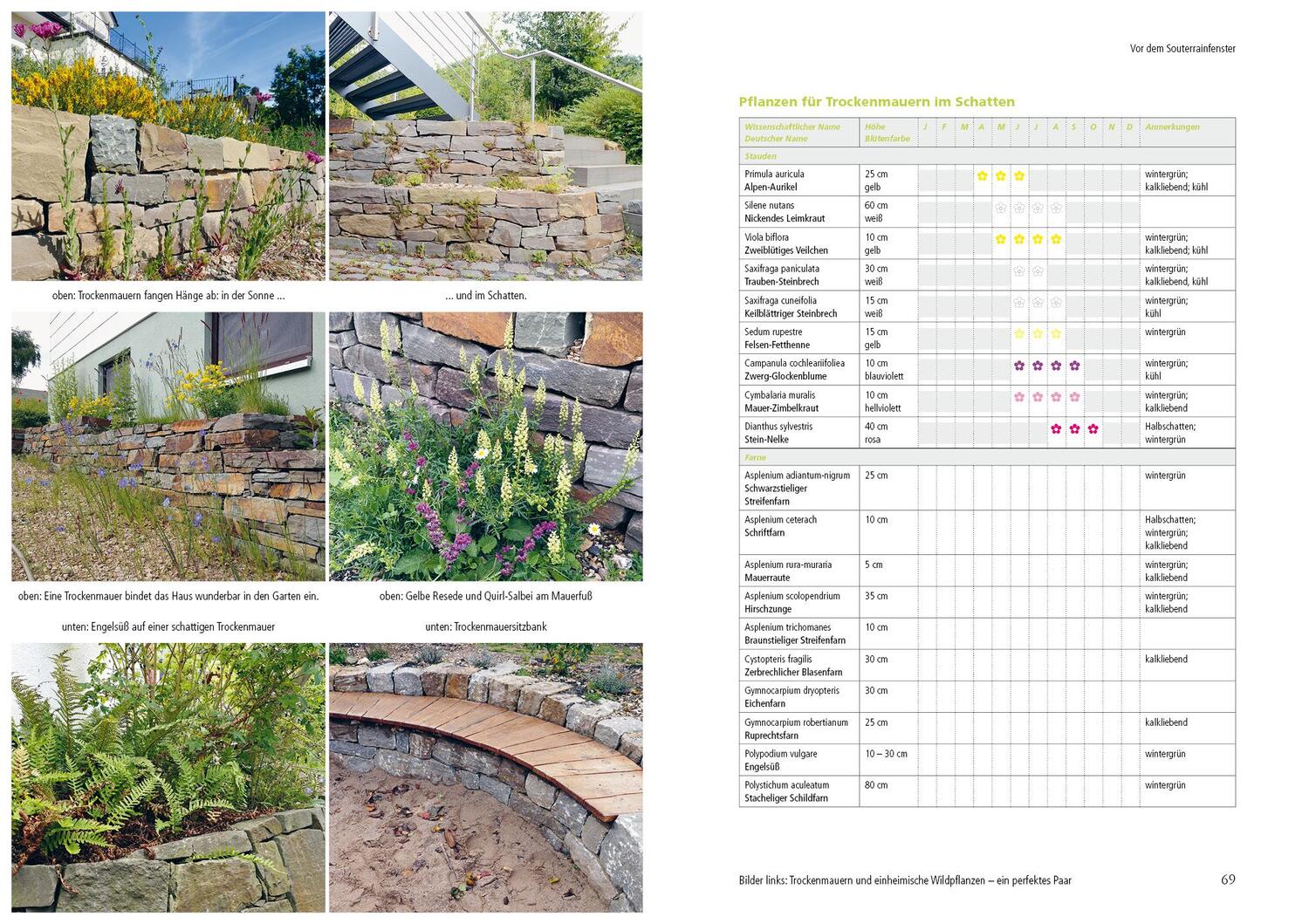 Bild: 9783895664120 | Kleiner Garten naturnah | Ulrike Aufderheide | Buch | 176 S. | Deutsch