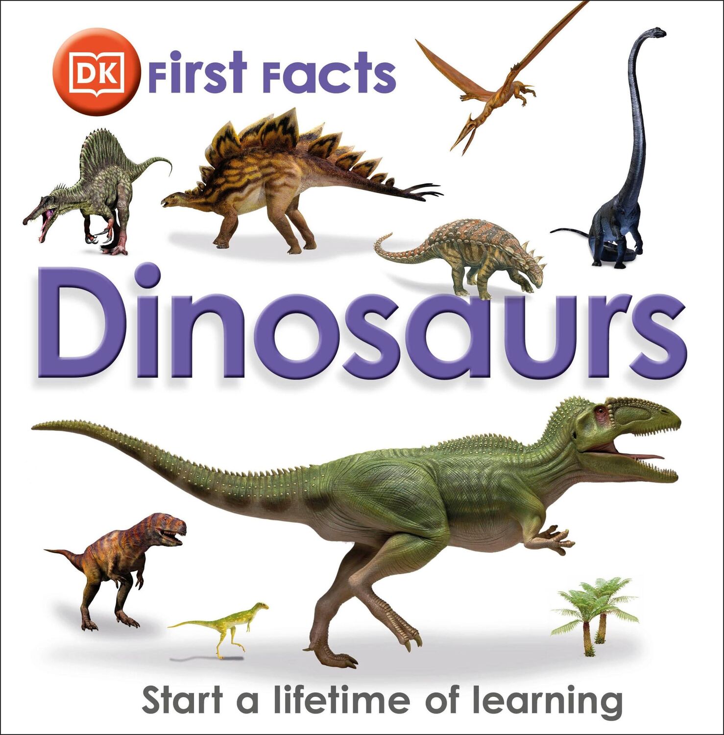 Cover: 9781409375753 | First Facts Dinosaurs | Dk | Buch | Gebunden | Englisch | 2012