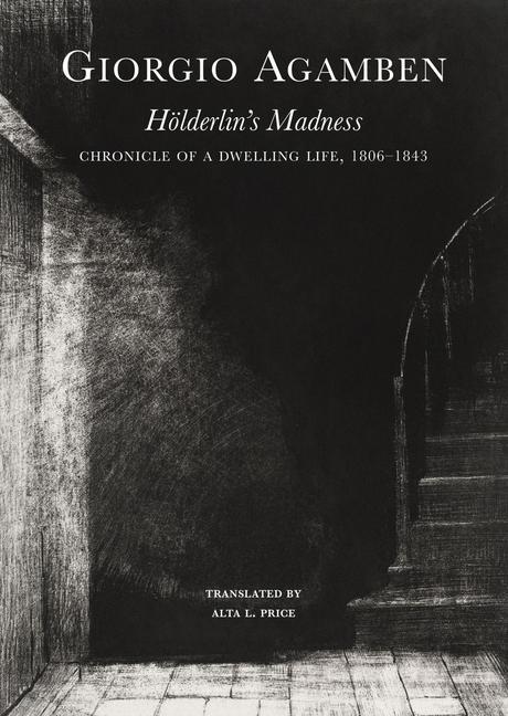 Cover: 9781803091150 | Hoelderlin's Madness - Chronicle of a Dwelling Life, 1806-1843 | Buch