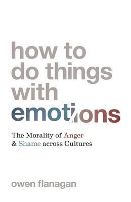Cover: 9780691220970 | How to Do Things with Emotions | Owen Flanagan | Buch | Gebunden