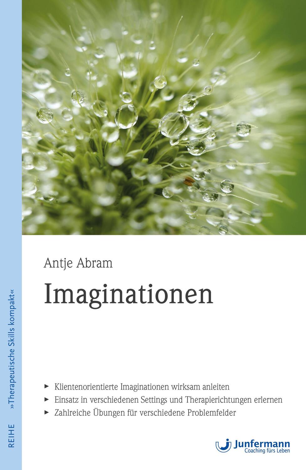 Cover: 9783955716349 | Imaginationen | Therapeutische Skills | Antje Abram | Taschenbuch