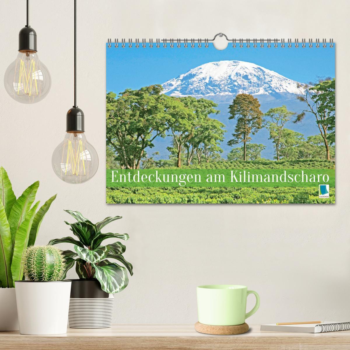 Bild: 9783435461615 | Entdeckungen am Kilimandscharo (Wandkalender 2025 DIN A4 quer),...