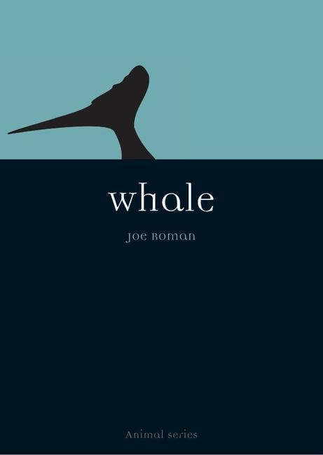 Cover: 9781861892461 | Whale | Joe Roman | Taschenbuch | Animal Series | Englisch | 2005