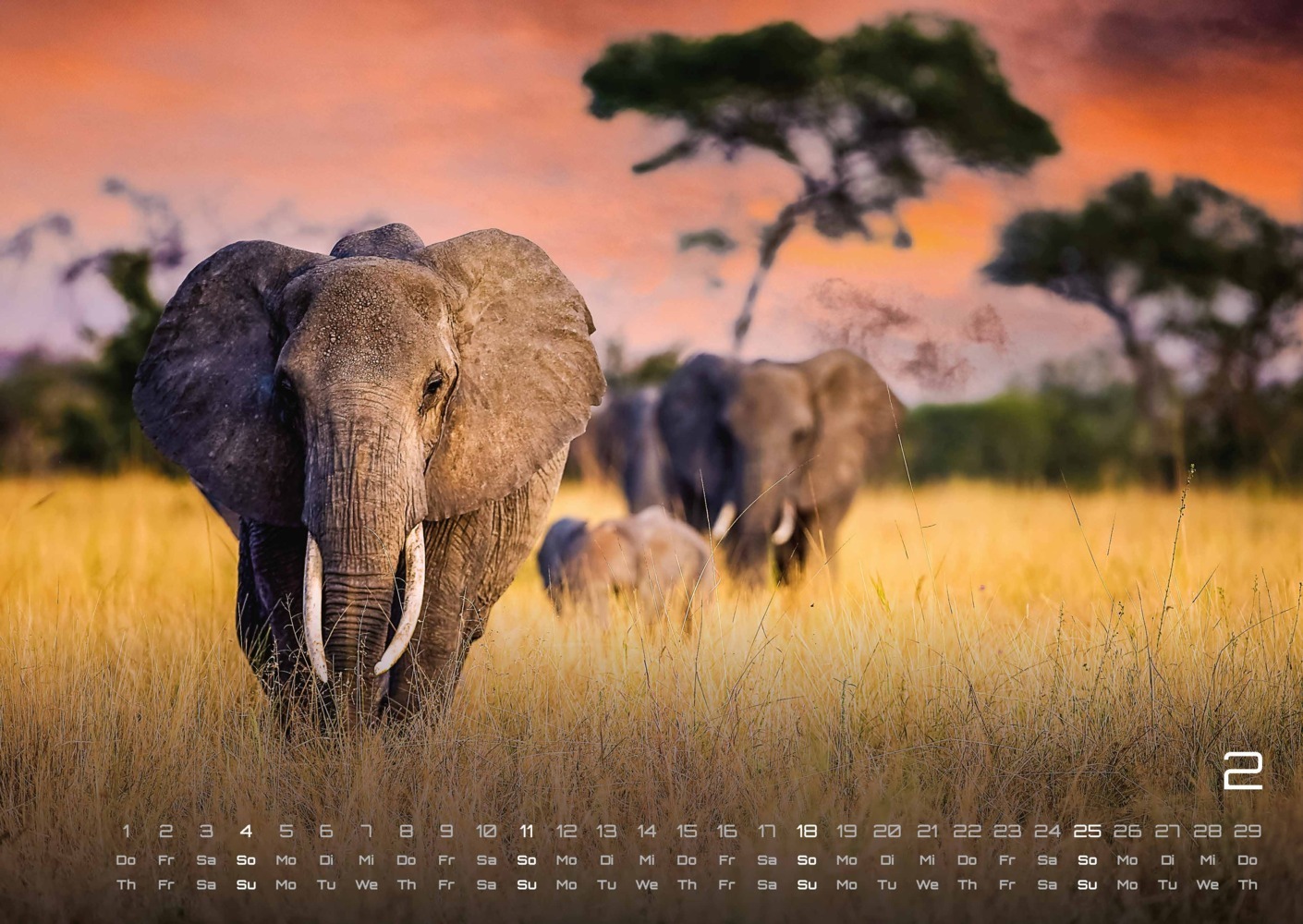 Bild: 9783986732370 | Elefanten - einzigartige Giganten - 2024 - Kalender DIN A2 | Kalender