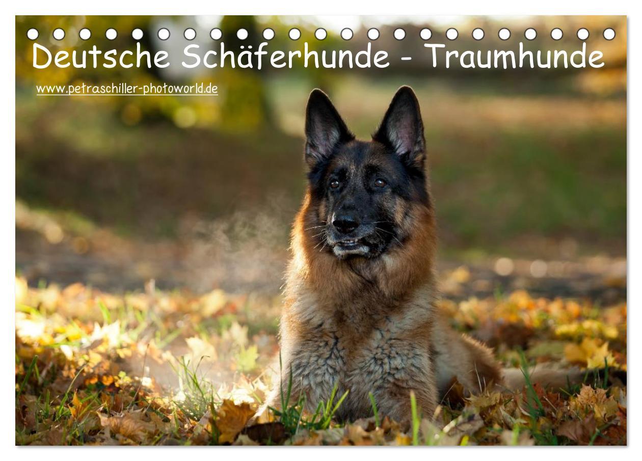 Cover: 9783435686360 | Deutsche Schäferhunde - Traumhunde (Tischkalender 2025 DIN A5...