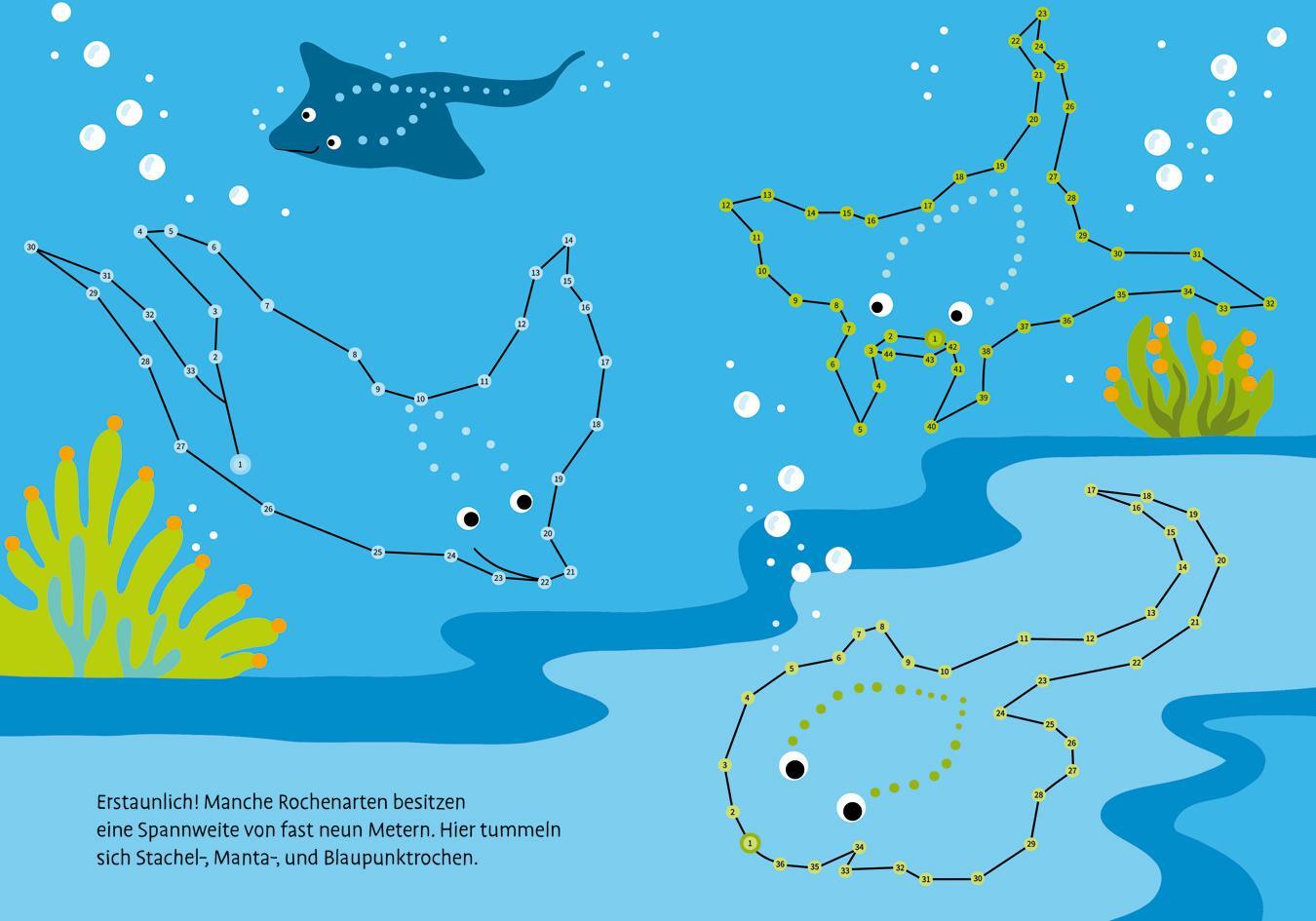 Bild: 9783788647032 | Total bunt von Punkt zu Punkt. Meerestiere. Von 1 bis 100 | Broschüre