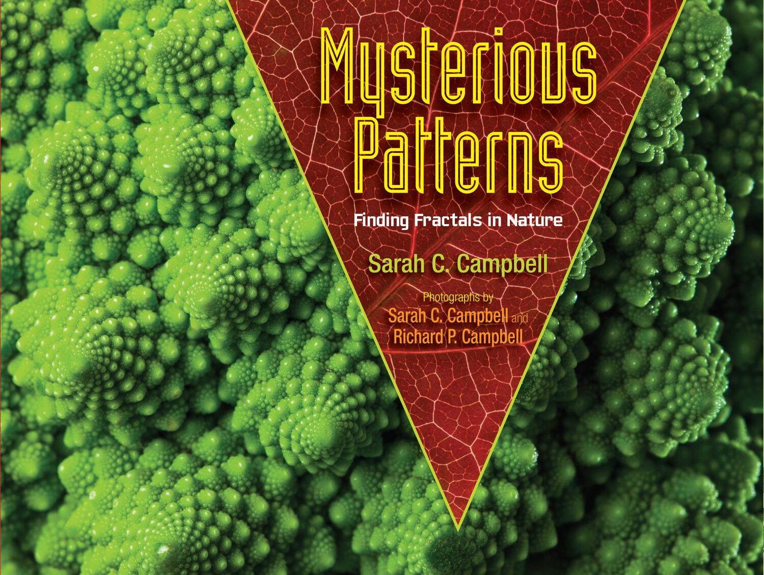 Cover: 9781662620416 | Mysterious Patterns | Finding Fractals in Nature | Sarah C Campbell