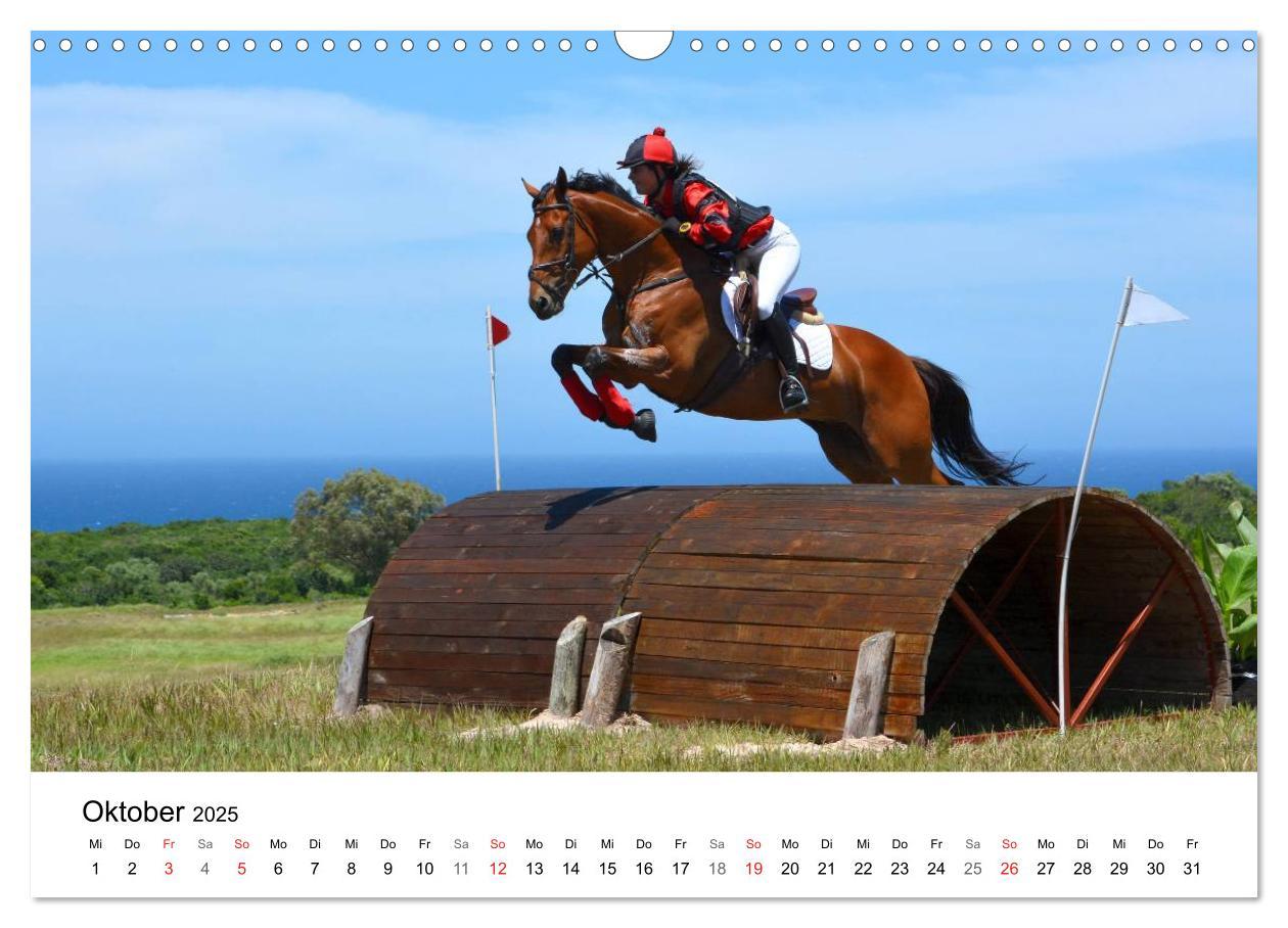 Bild: 9783435618057 | Vielseitigkeitsreiten (Wandkalender 2025 DIN A3 quer), CALVENDO...