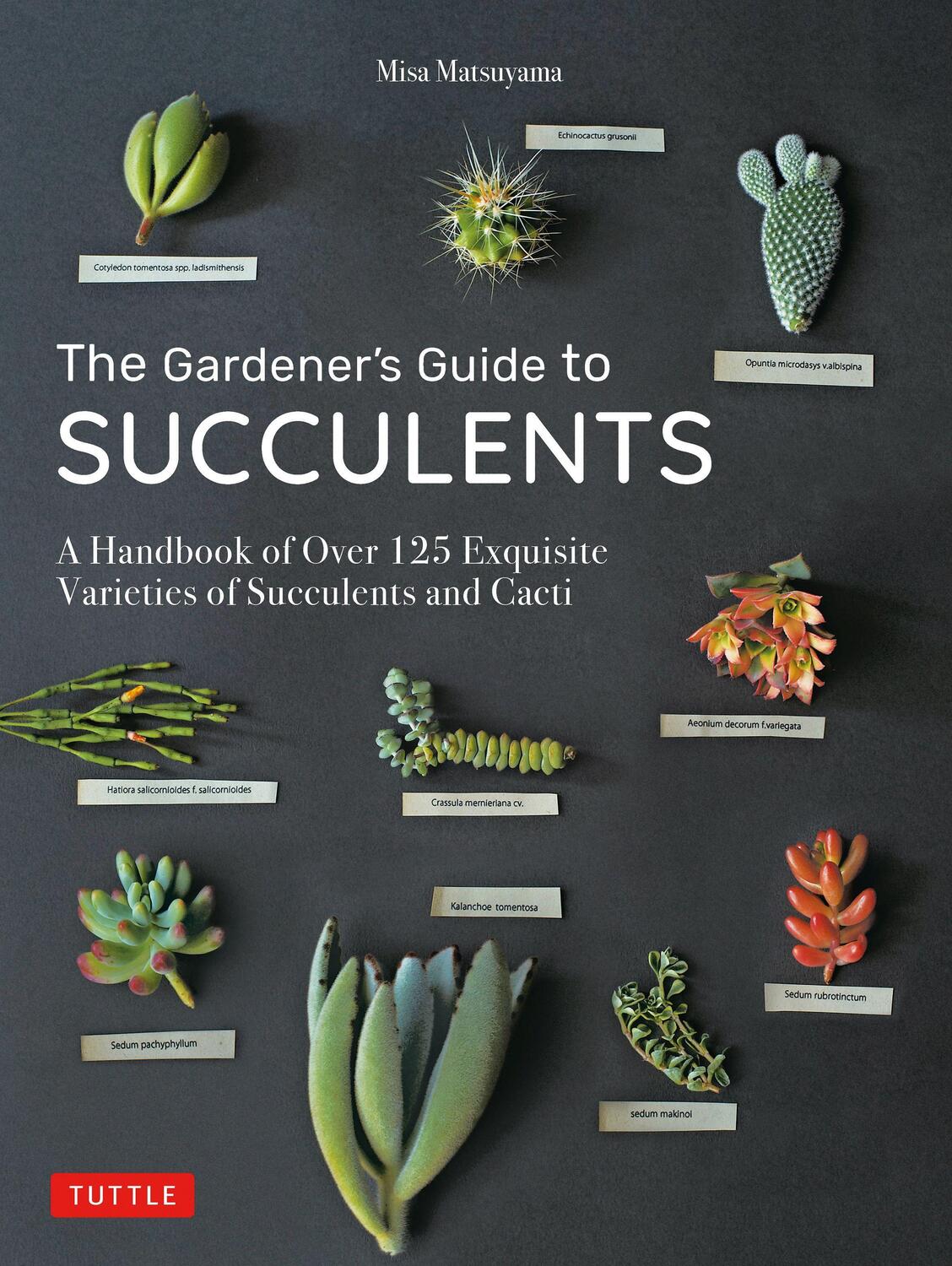Cover: 9780804851060 | The Gardener's Guide to Succulents | Misa Matsuyama | Buch | Englisch